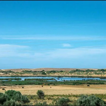 빌라 Salgados, Near Albufeira, With Private Pool, 5 Minutes From Gale *